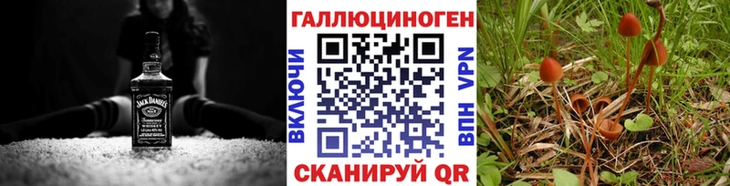 Псилоцибиновые грибы прущие грибы  omg как зайти  Судогда 